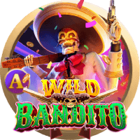 Wild Đạo Tặc icon