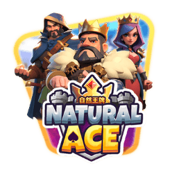 Natural Ace game cover